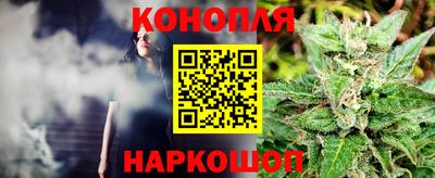 mdpv Краснознаменск