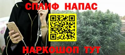 mdpv Краснознаменск